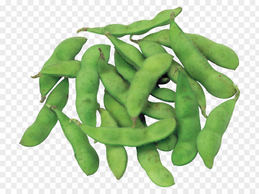 Vegetable Snap Pea Edamame Green PNG
