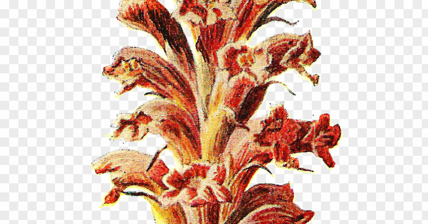 Admit Stamp Familiar Wild Flowers Botany Botanical Illustration Plant Stem Flowering PNG
