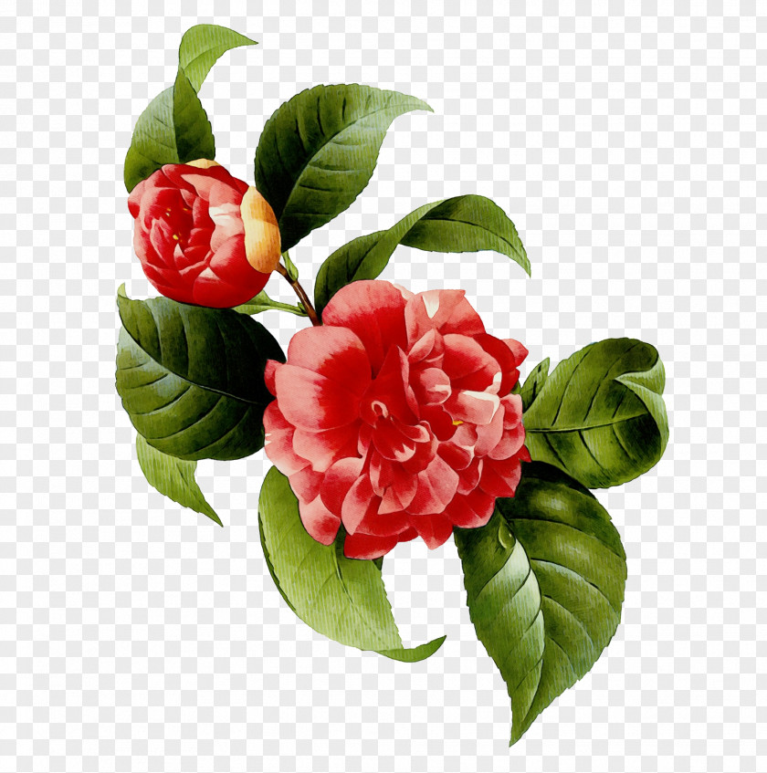 Artificial Flower Branch PNG