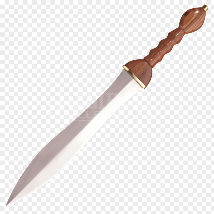 Dagger Ancient Rome Gladius Pugio Roman Army Sword PNG