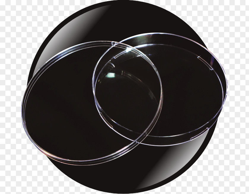 Design Petri Dishes Polska Norma PNG