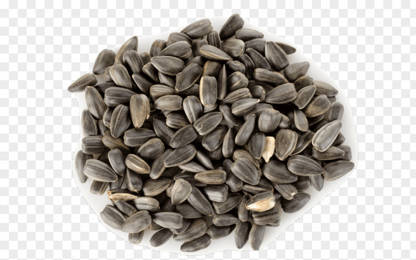 Health Sunflower Seed Common Pumpkin PNG