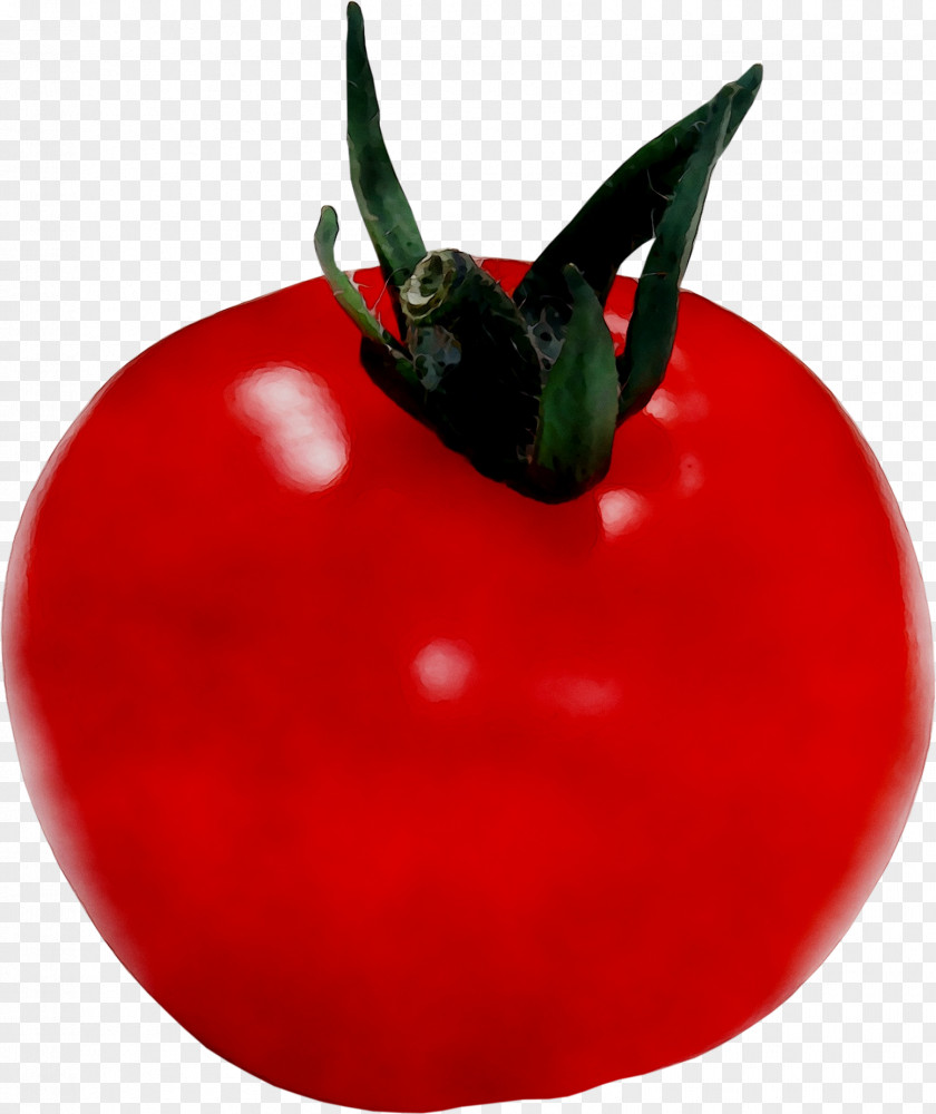Bush Tomato Chili Pepper Bell Peppers PNG