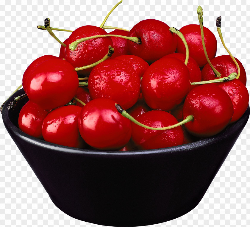 Cherry Image Cerasus Icon PNG