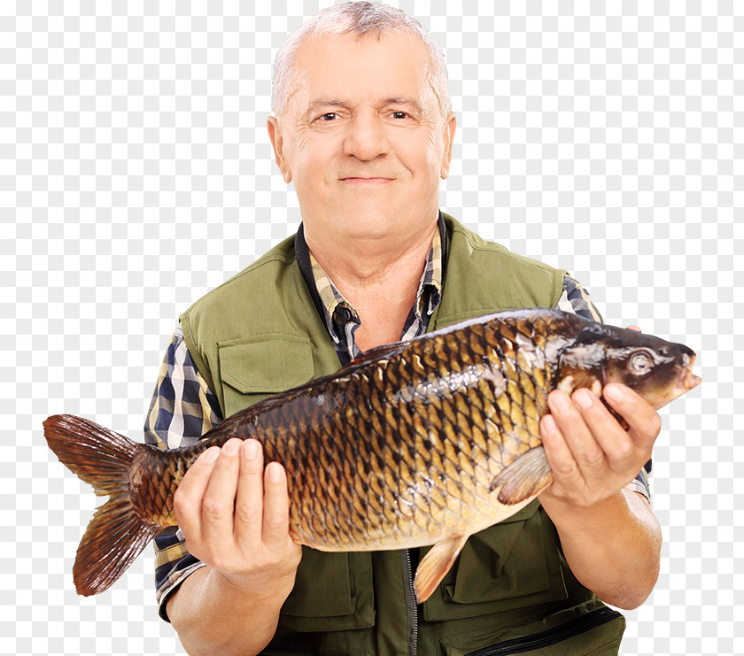 Fish Fishing Megamix Angling Royalty-free PNG