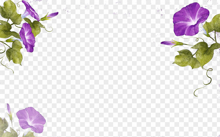 Purple Vines Flower Ipomoea Nil Watercolor Painting Illustration PNG
