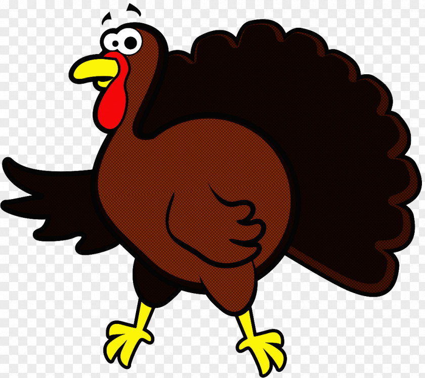 Bird Turkey Beak Cartoon PNG