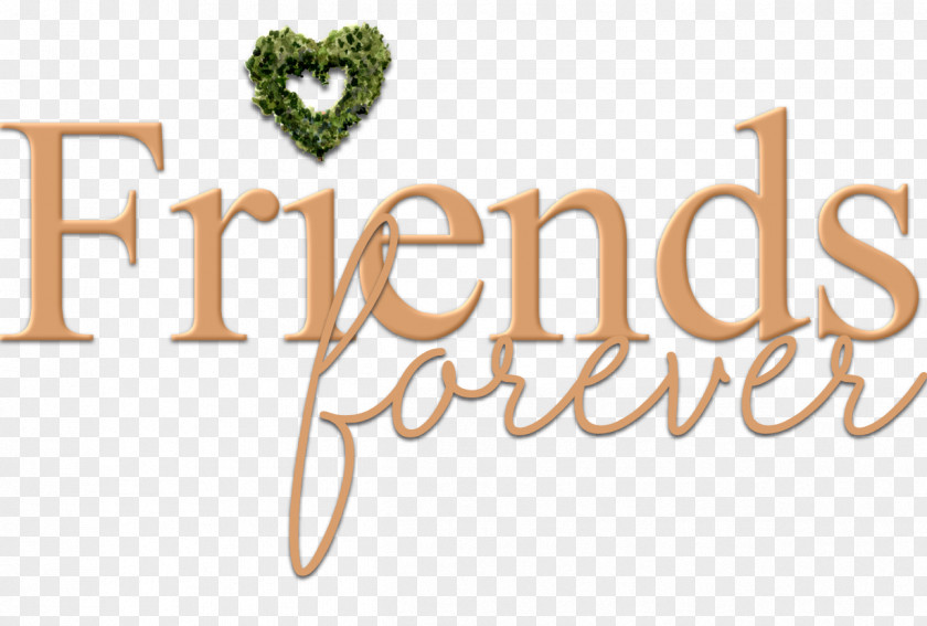 Friendship Friend Association Organization Non-profit Organisation Volunteering PNG