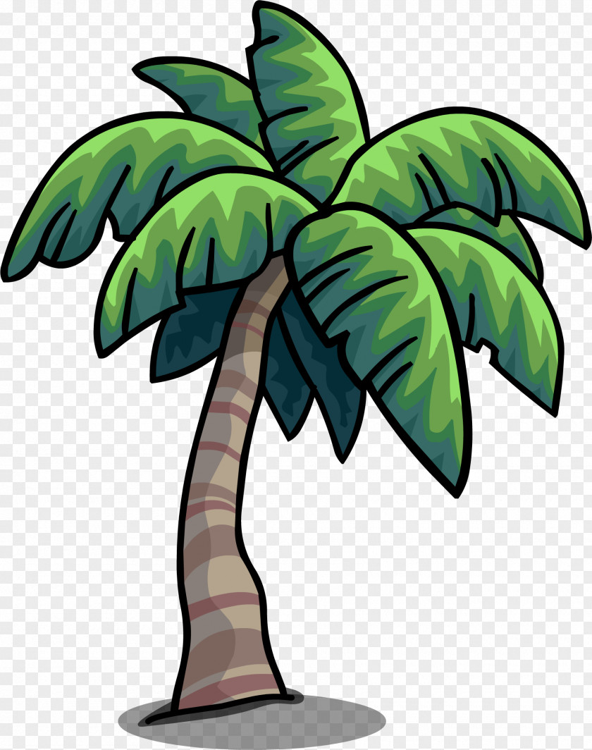 Palm Leaves Arecaceae Tree Desktop Wallpaper Clip Art PNG