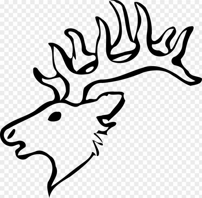 Deer White-tailed Drawing Reindeer Clip Art PNG