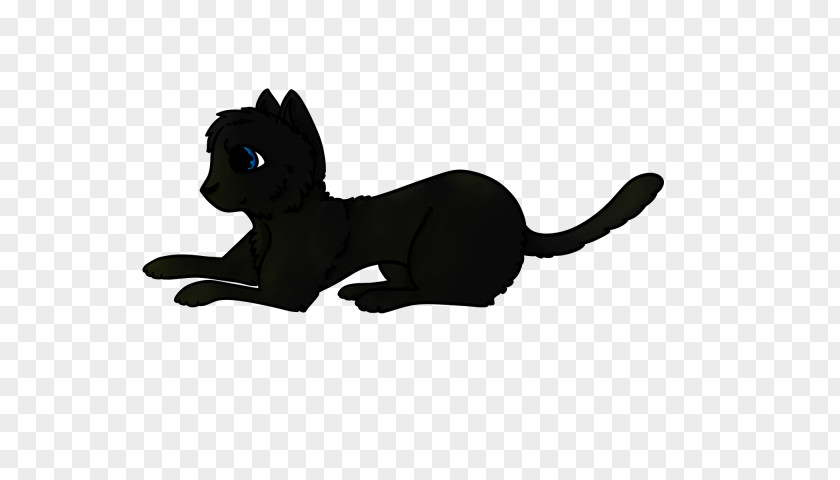 Examples Of Feeding Right And Wrong Black Cat Puma Big Tail PNG