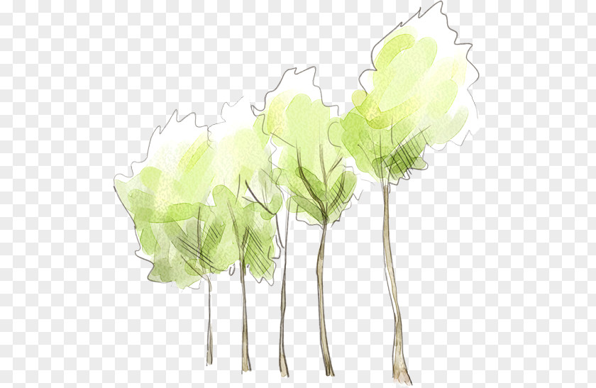 Fresh Hand-painted Watercolor Tree PNG hand-painted watercolor tree clipart PNG
