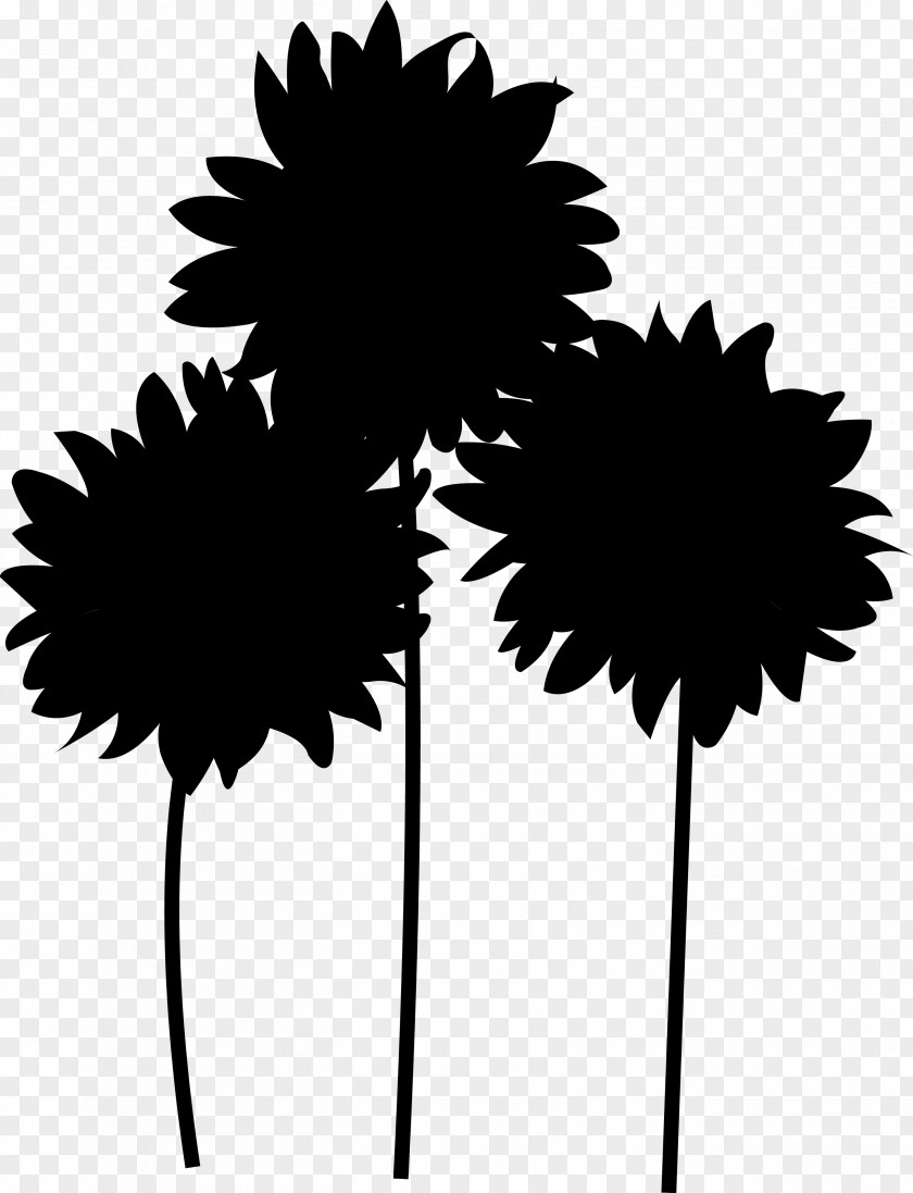 Leaf Daisy Family Plant Stem Silhouette Tree PNG