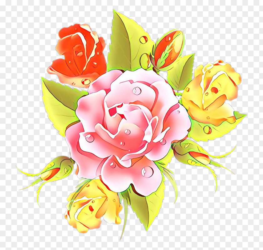 Peach Rose Family PNG
