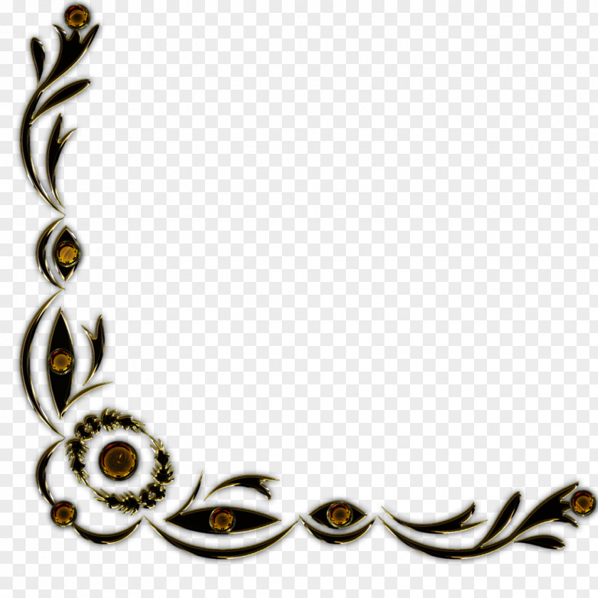 Pearls Picture Frames Photography Clip Art PNG
