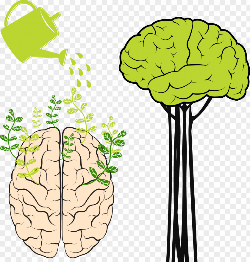 Abstract Brain PNG