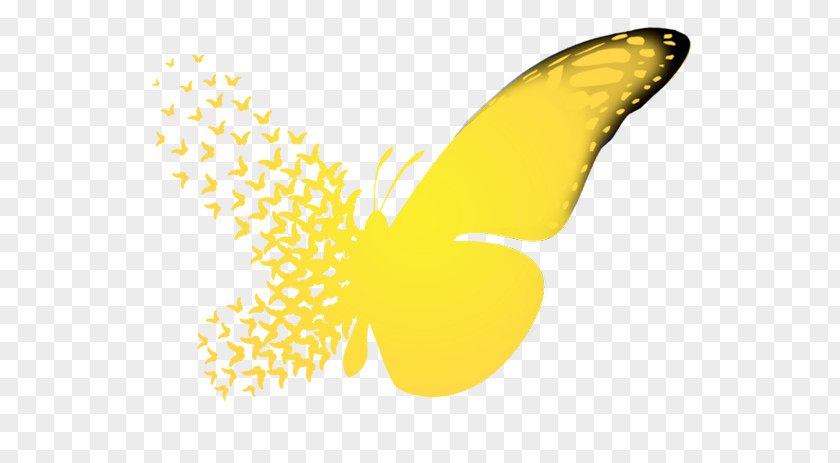 Butterfly Effect A Sound Of Thunder Chaos Theory Causality PNG