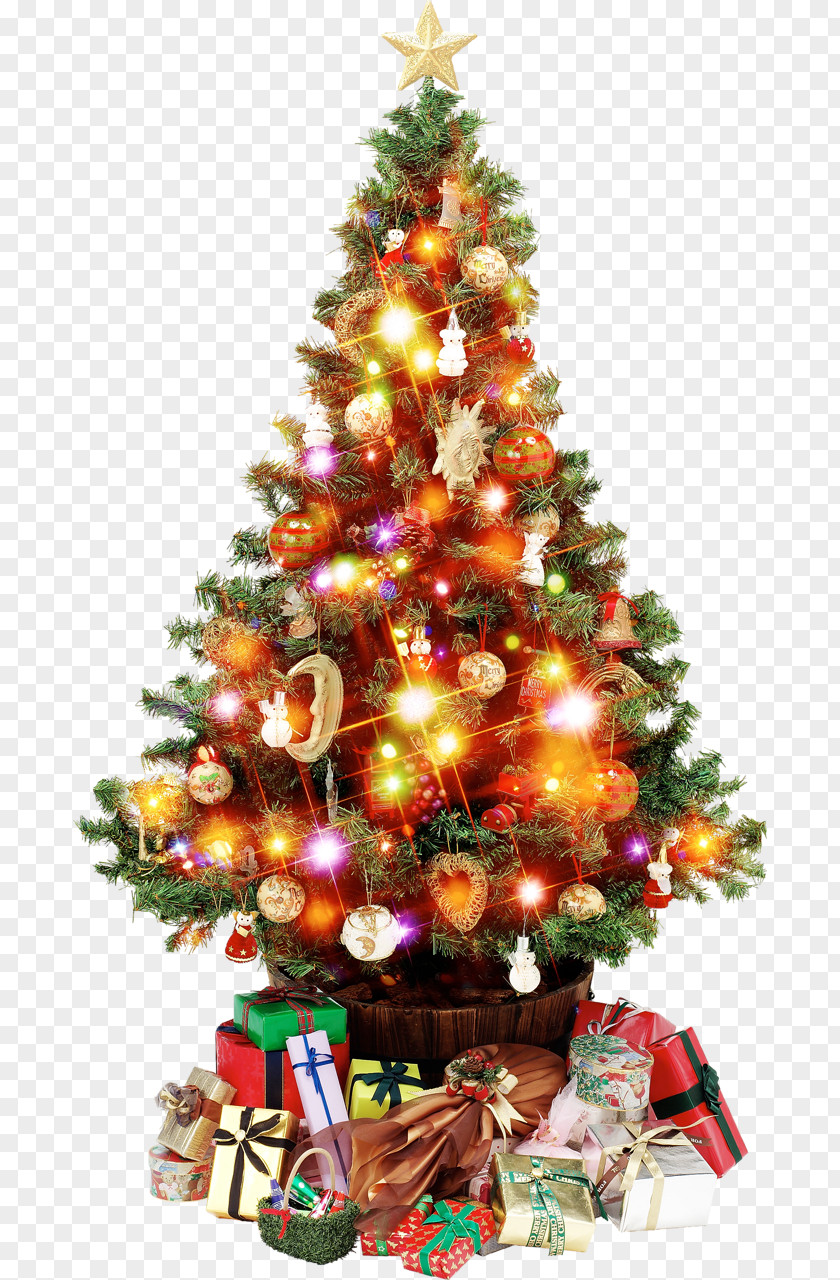 Christmas Tree A Visit From St. Nicholas Artificial Stands PNG