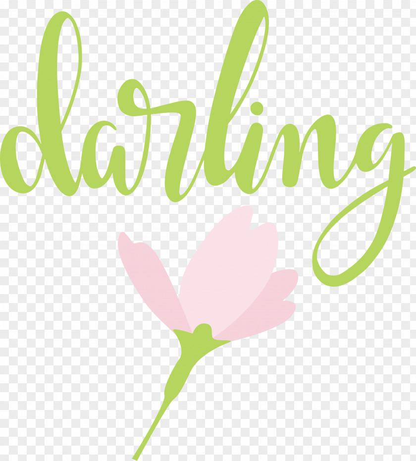 Darling Wedding PNG