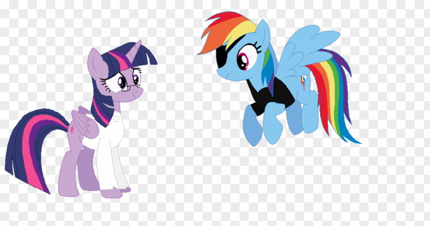 Horse Pony Twilight Sparkle Flash Sentry Rainbow Dash PNG