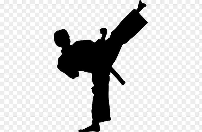 Karate Wall Decal Kick Martial Arts Taekwondo PNG