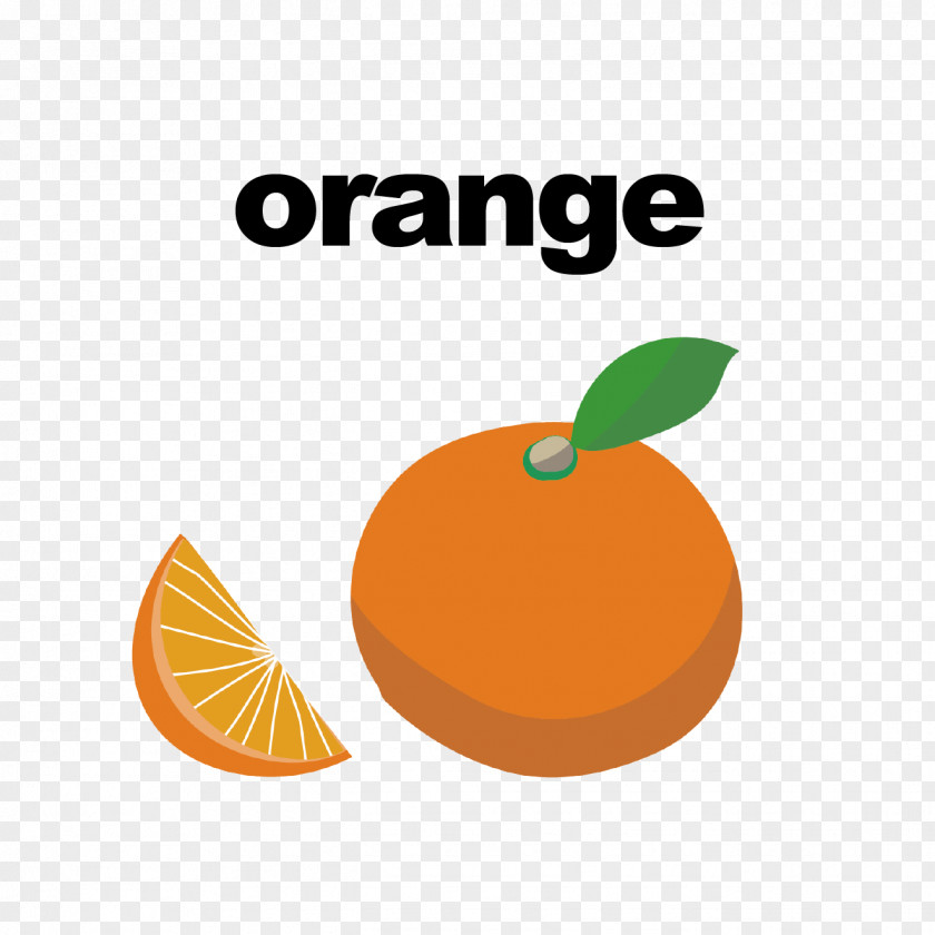 Orange Illustration Mandarin Citrus × Sinensis Clip Art PNG