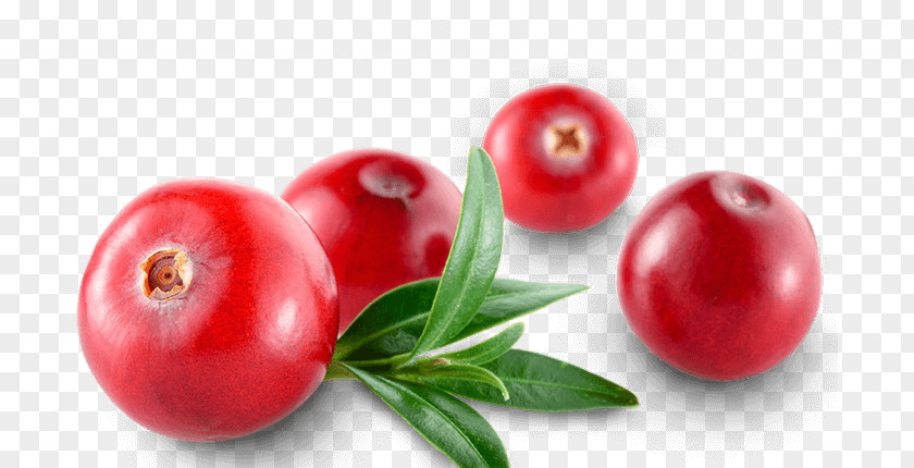 Tomato Cranberry Barbados Cherry Ingredient Food PNG