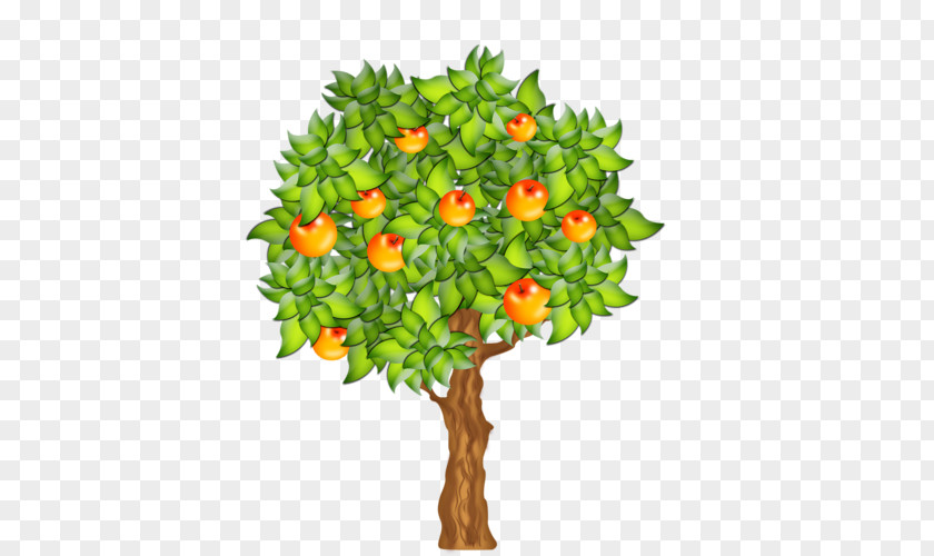 Tree Clip Art Fruit PNG