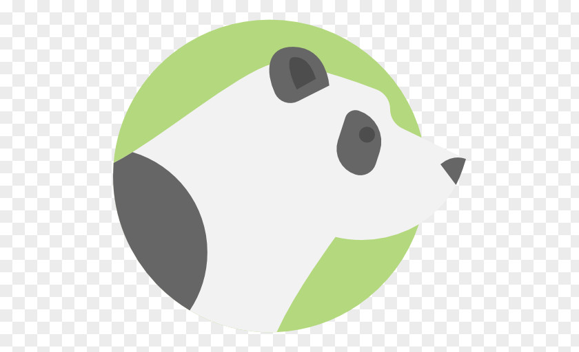 Bear Giant Panda PNG