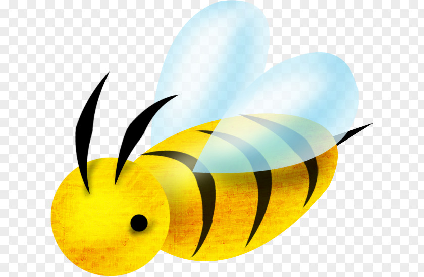 Bee Drawing Clip Art PNG