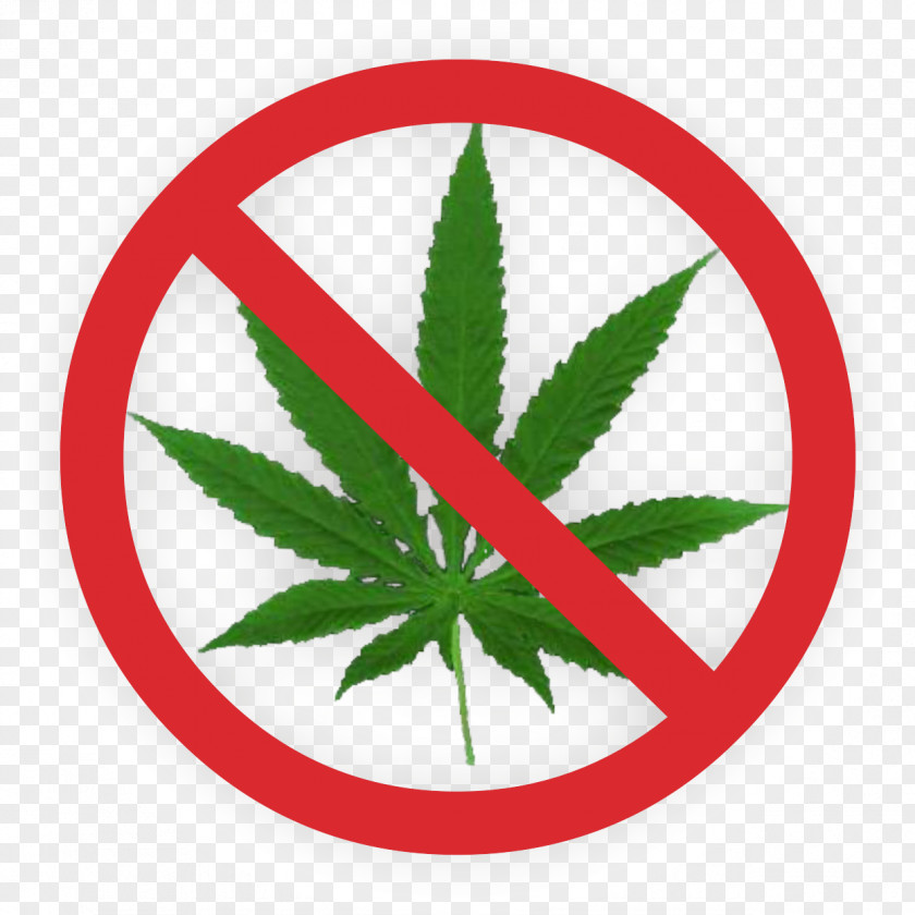 Drugs Cannabis Smoking Leaf Legalization Medical PNG