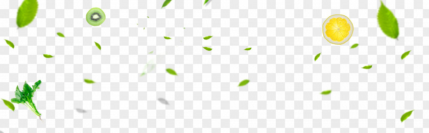 Green Leaves Fruit Slices Vegetable Floating Material Logo Brand Pattern PNG