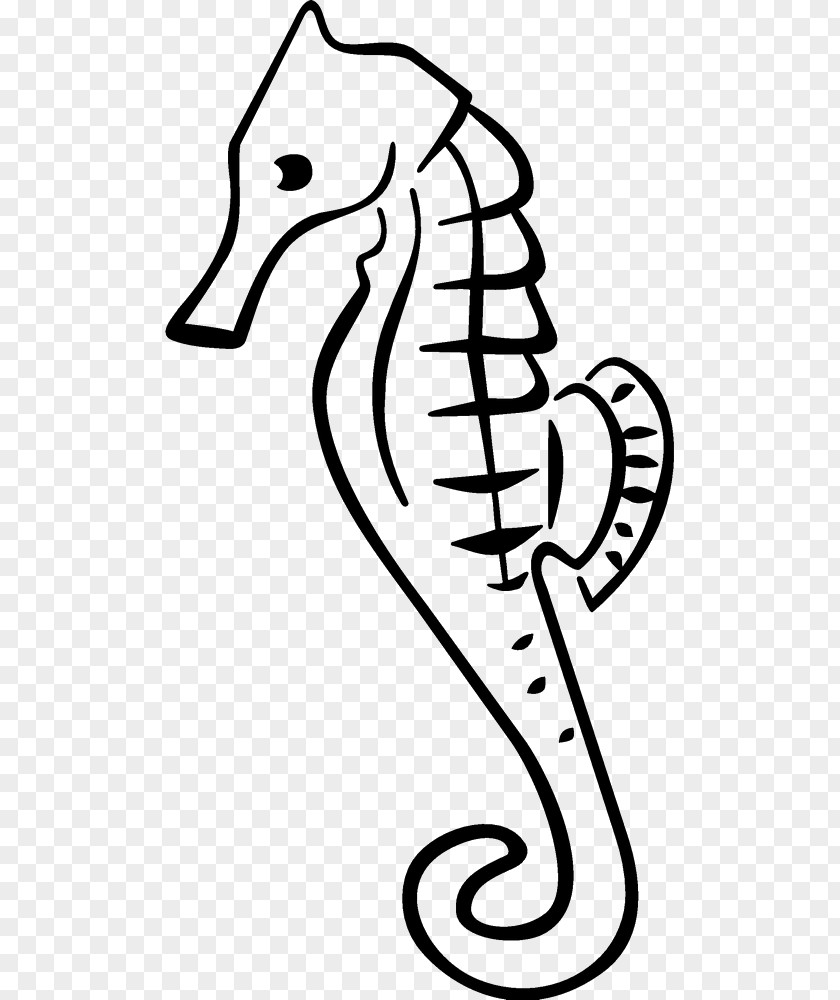 Seahorse Clip Art PNG