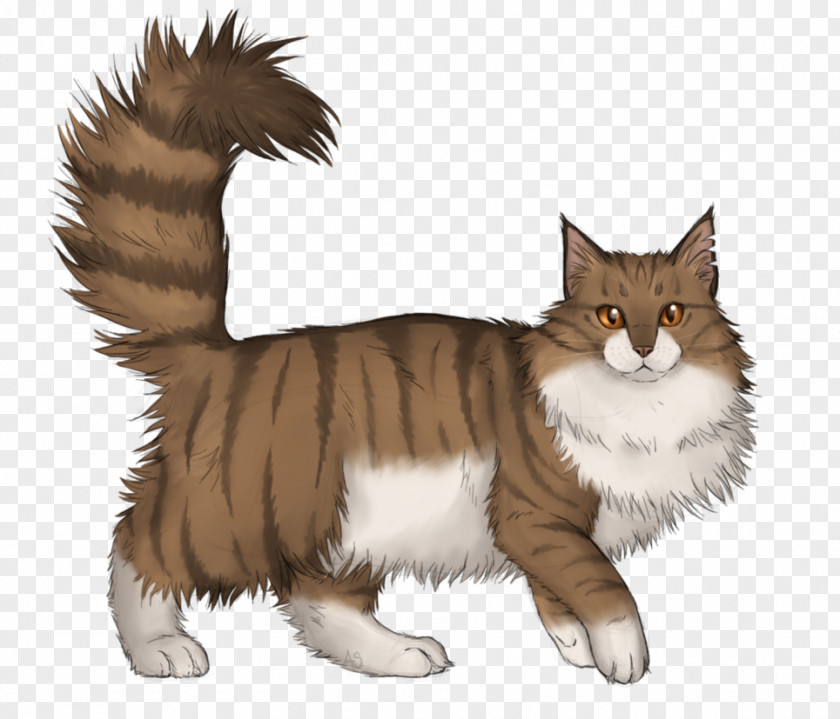 Kitten Manx Cat Norwegian Forest Maine Coon Whiskers Domestic Short-haired PNG