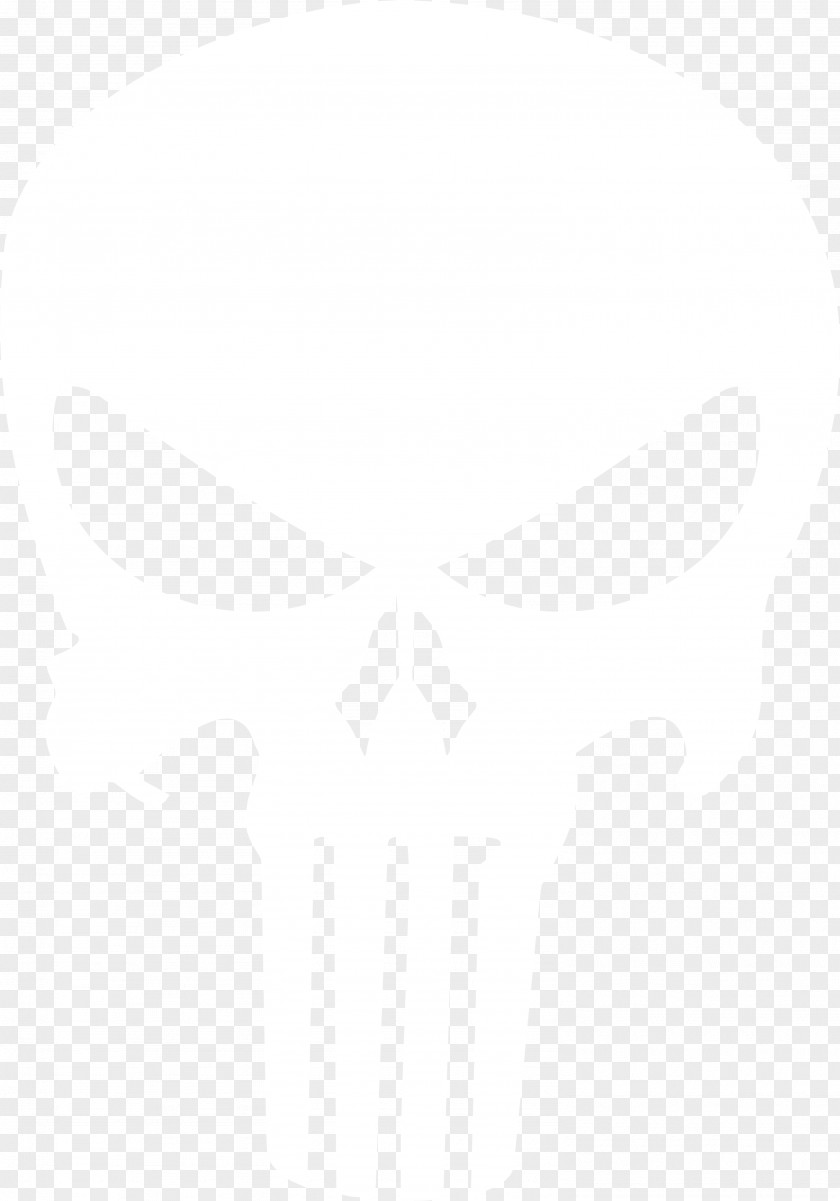 Punisher Skull Email United Nations University Institute On Computing And Society Information Datacard Group MailChimp PNG