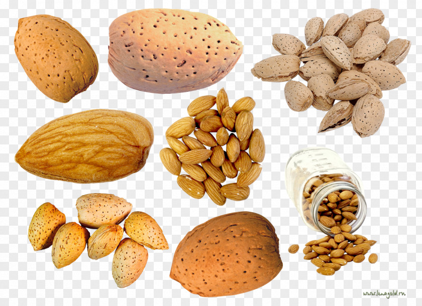 Almond Peanut Vegetarian Cuisine PNG