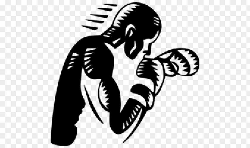 Boxing World Association Martial Arts Sport Council PNG