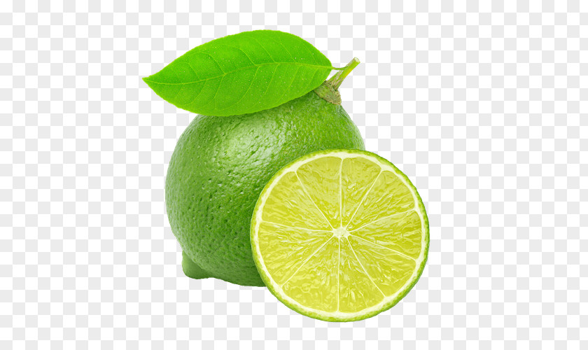Persian Lime Juice Lemon Squeezer Lemon-lime Drink PNG