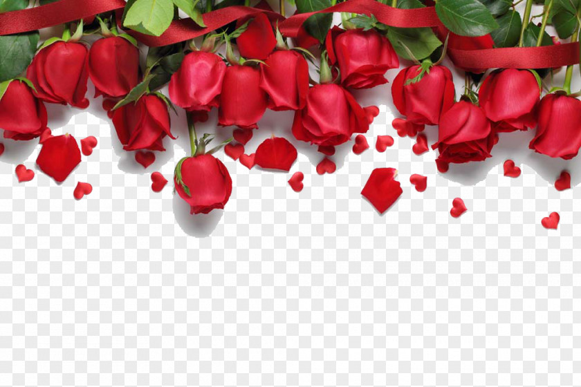 Red Roses Background Love Song Romance Royalty-free PNG