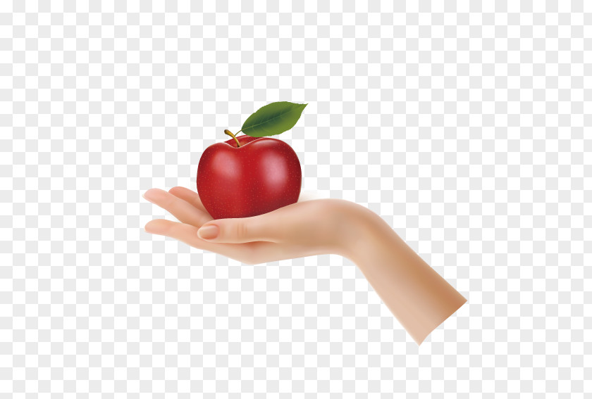 Satisfy Apple Hand Stock Photography Clip Art PNG