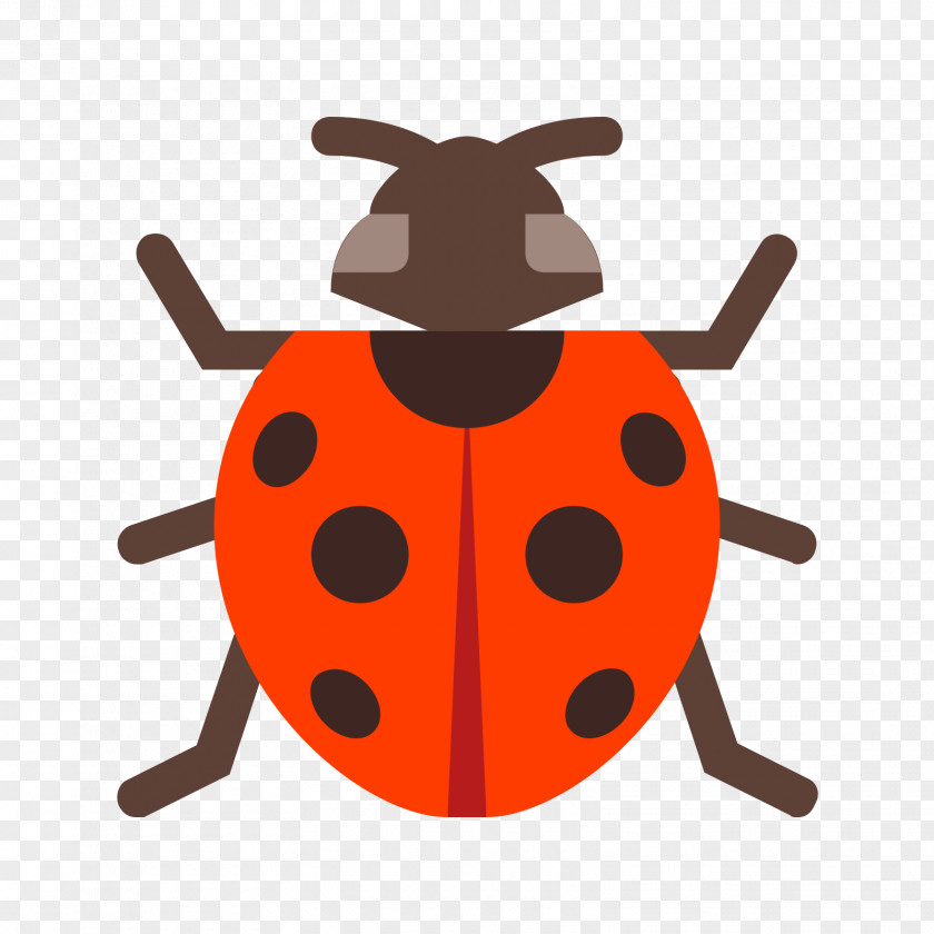 Vector Graphics Ladybird Beetle Royalty-free Stock Illustration PNG