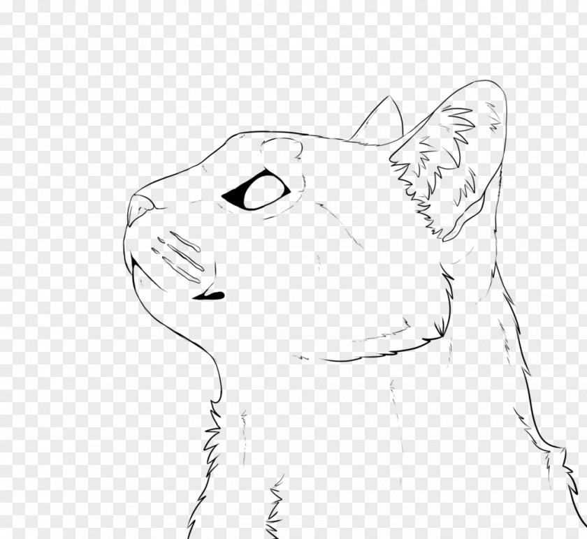Based Line Drawing Cat Art DeviantArt PNG