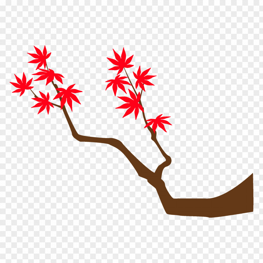 Branch Tree Maple Leaves Autumn PNG