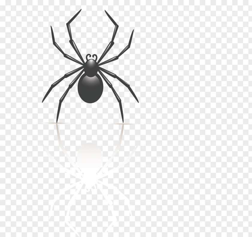 Cartoon Black Insect Spider And White PNG