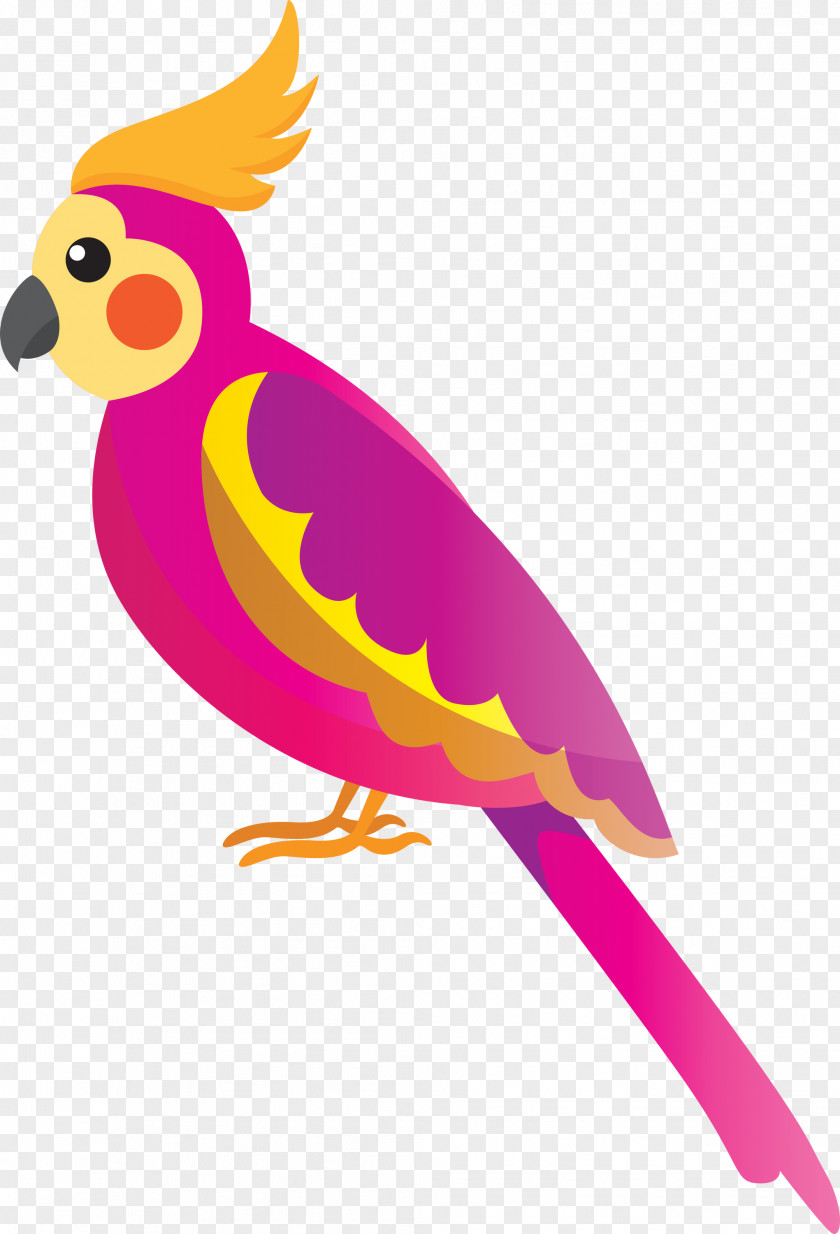 Chicken Parrots Beak PNG