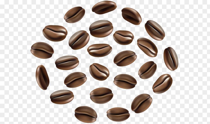 Coffee Bean Cafe Single-origin PNG