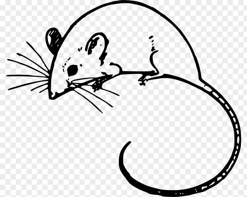 Computer Mouse Arc Microsoft Clip Art PNG