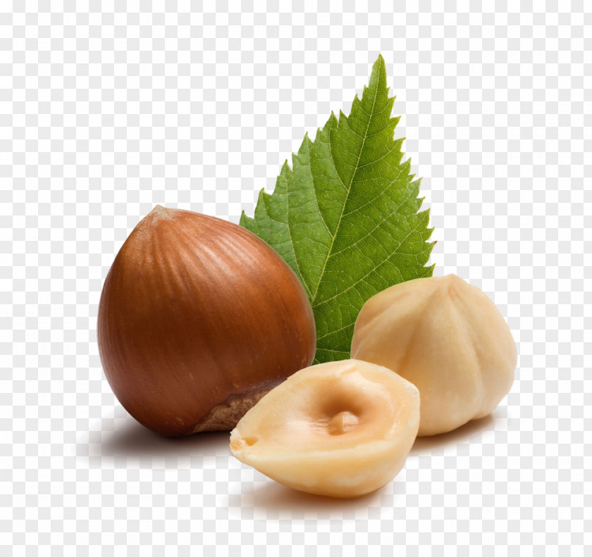 Leaves And Nuts Hazelnuts PNG and nuts hazelnuts clipart PNG