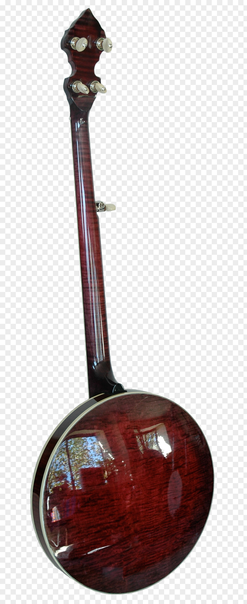 Musical Instruments Surbahar Banjo Musician Tanbur PNG