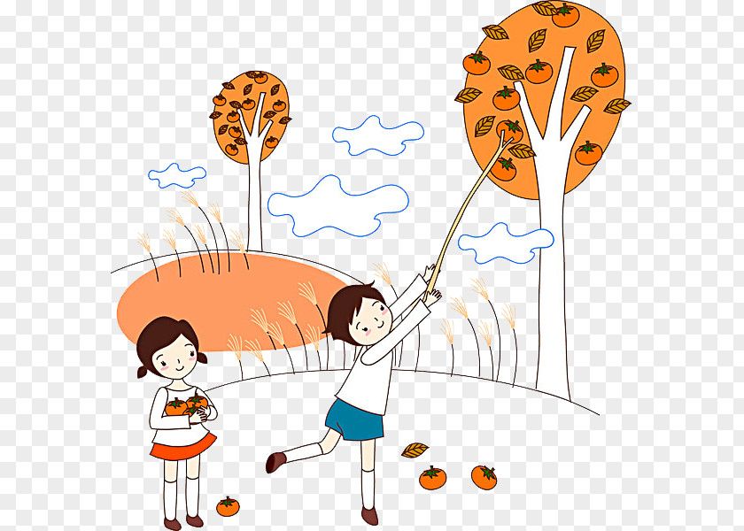 A Child Picking Persimmons Cartoon Clip Art PNG